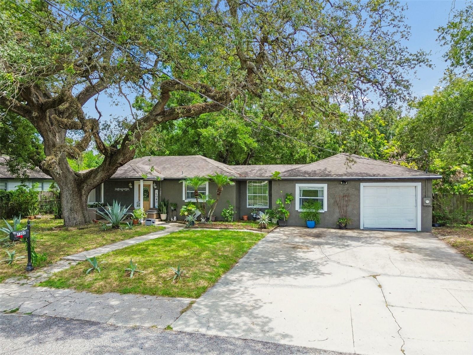 7307 N Huntley Ave, Tampa, FL 33604