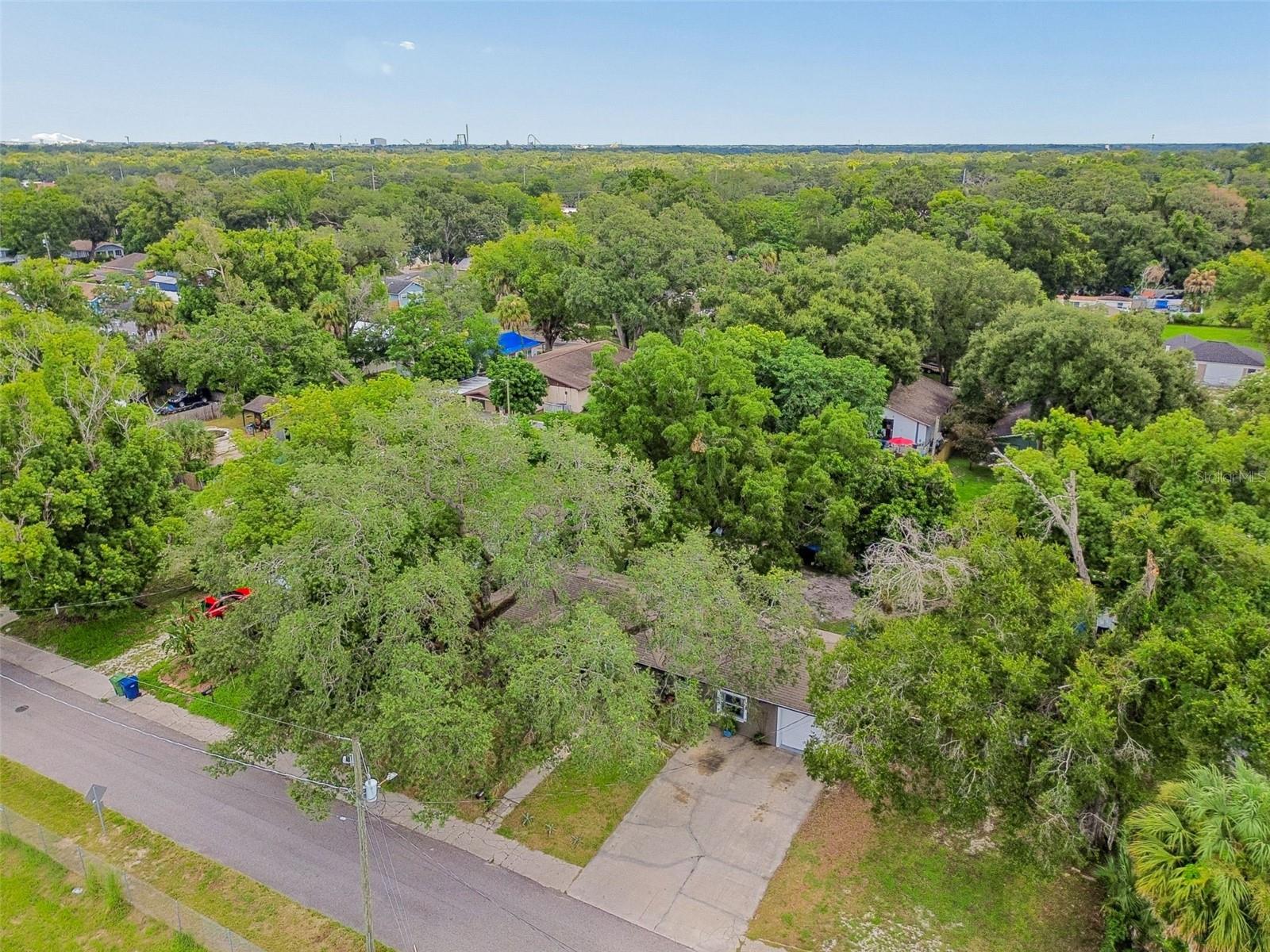 7307 N Huntley Ave, Tampa, FL 33604