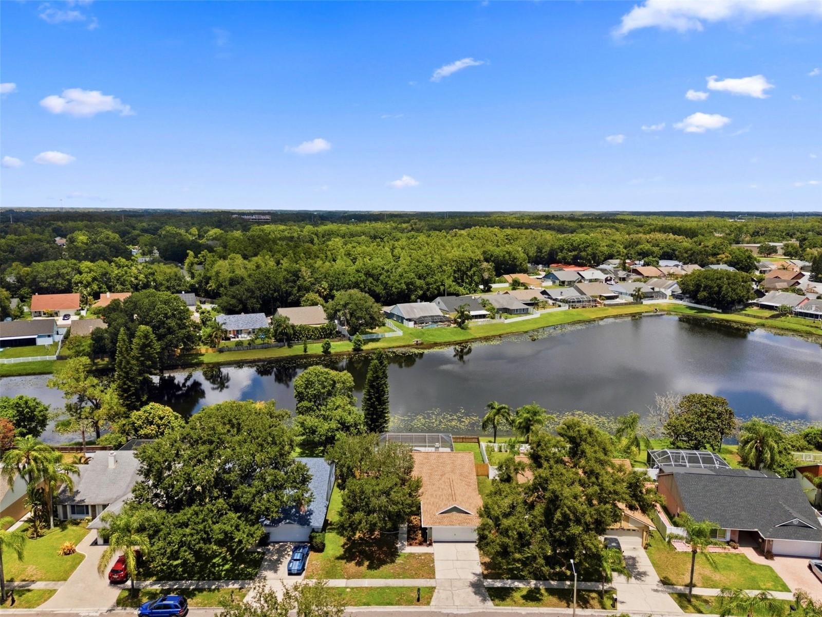 8723 Osage Dr, Tampa, FL 33634