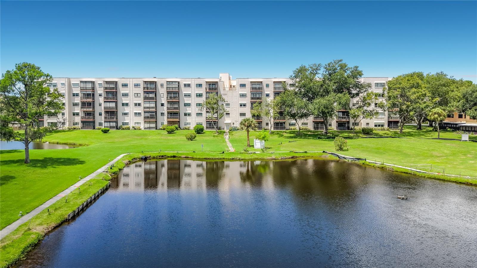 8174 Terrace Garden Dr N #207, St Petersburg, FL 33709