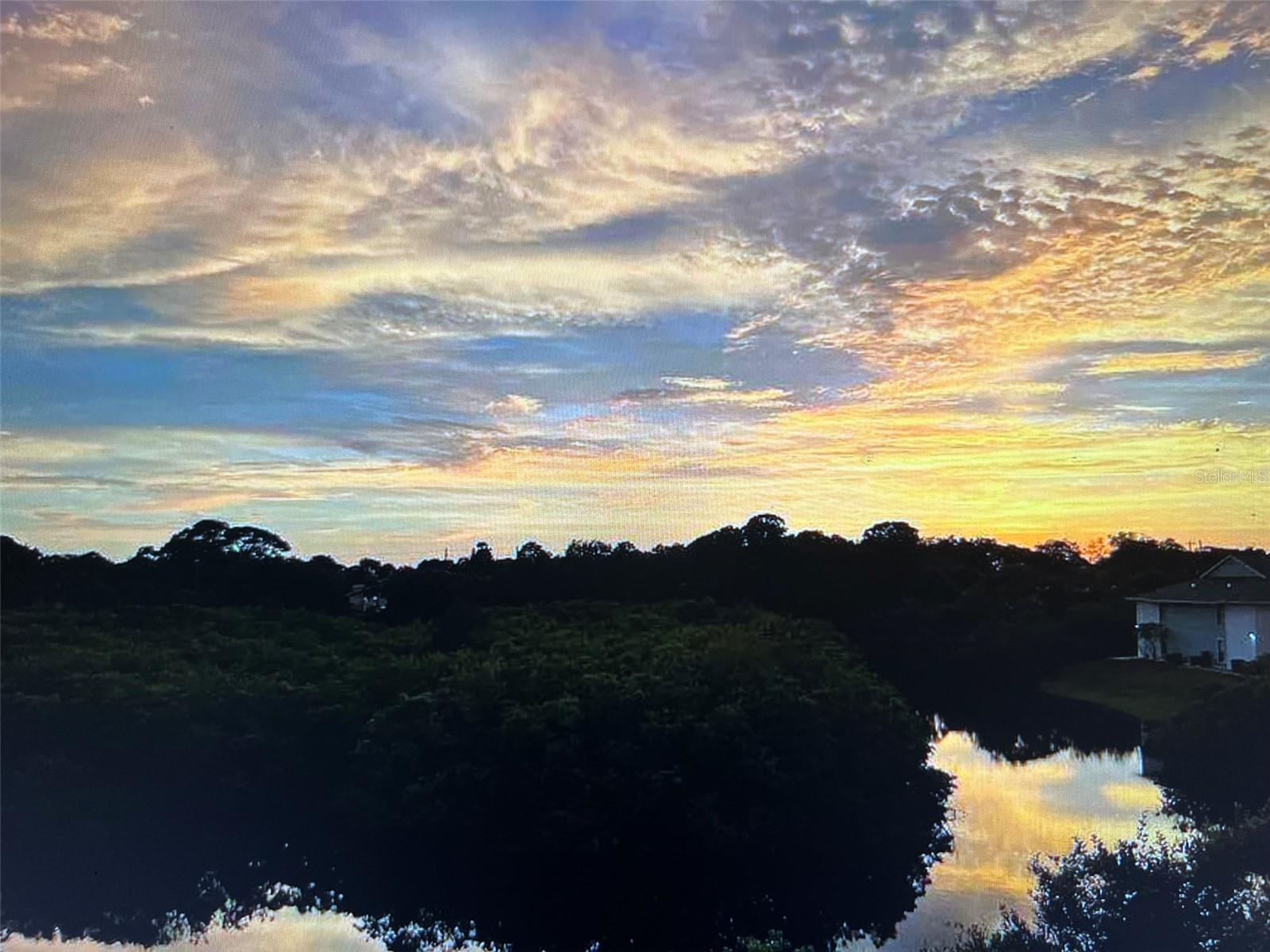 455 Alt 19 S #202, Palm Harbor, FL 34683
