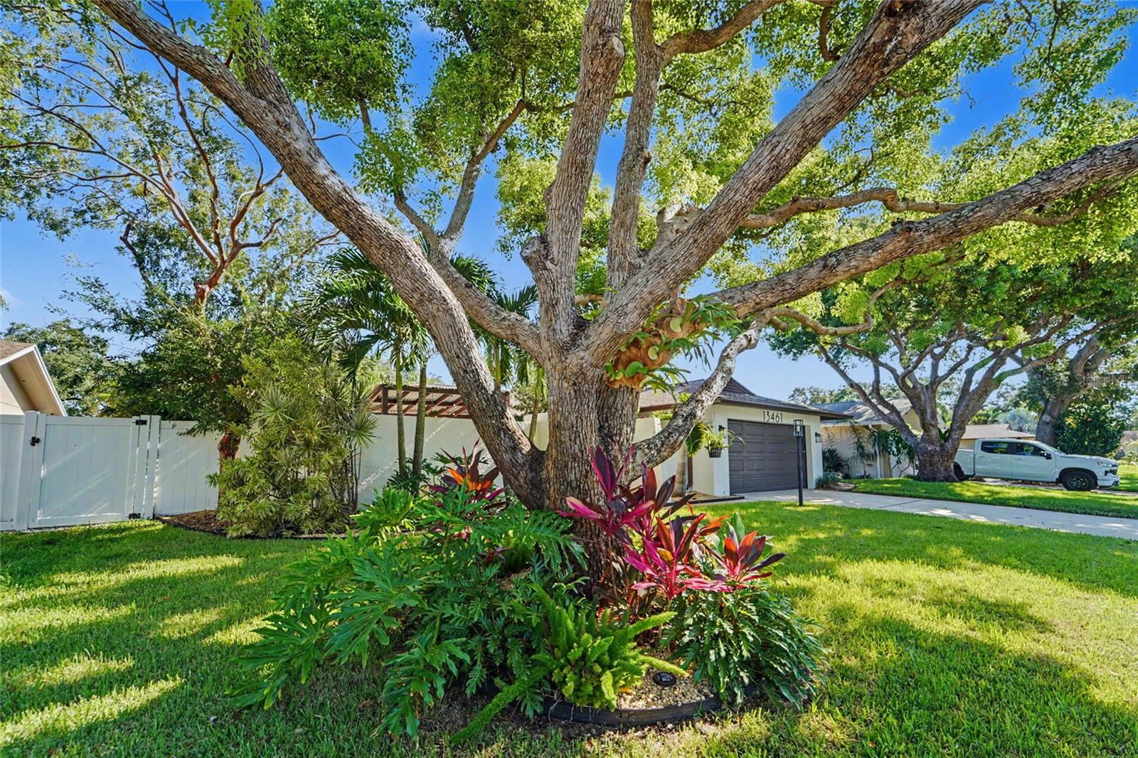 13461 Del Prado Dr S, Largo, FL 33774