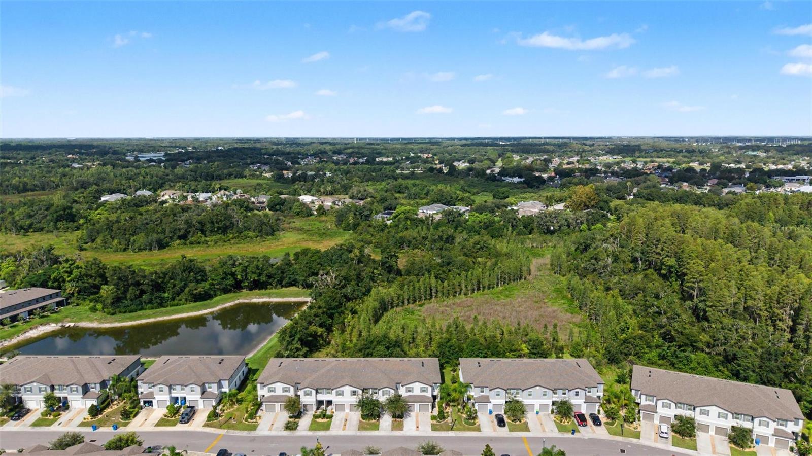 1599 Cassius St, Lutz, FL 33549