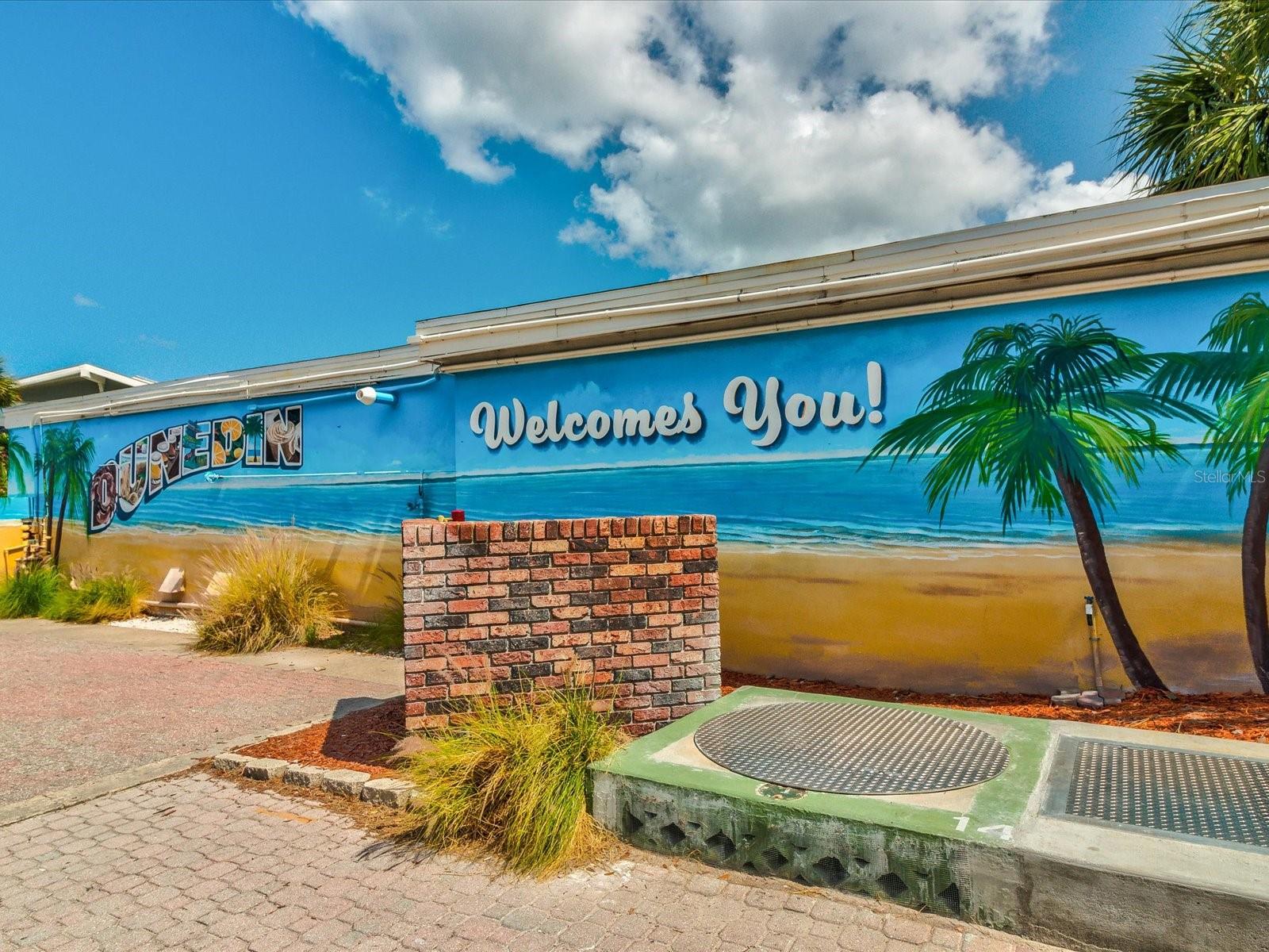 991 Mclean St, Dunedin, FL 34698