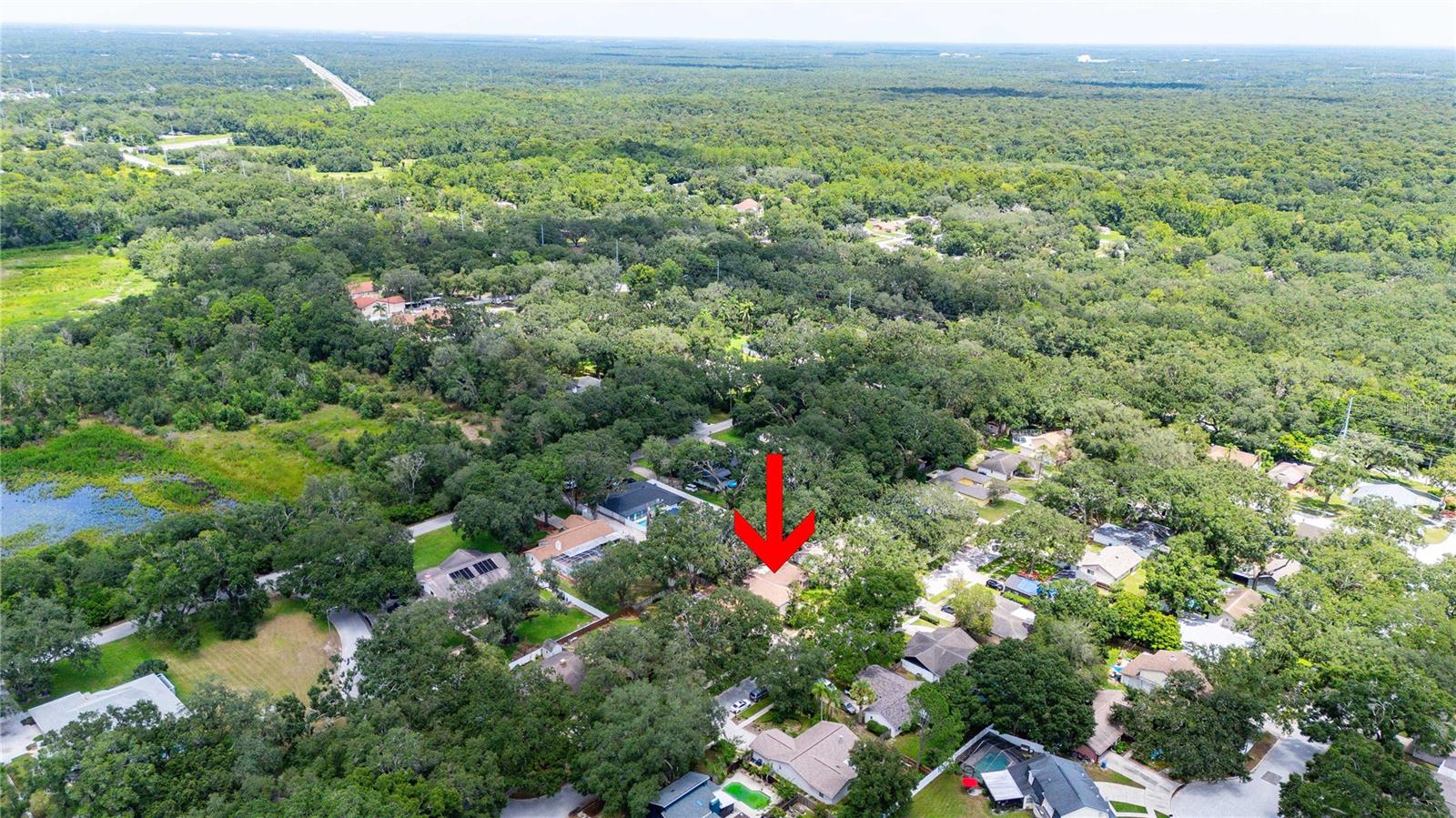 2423 Forrest Crest Cir, Lutz, FL 33549