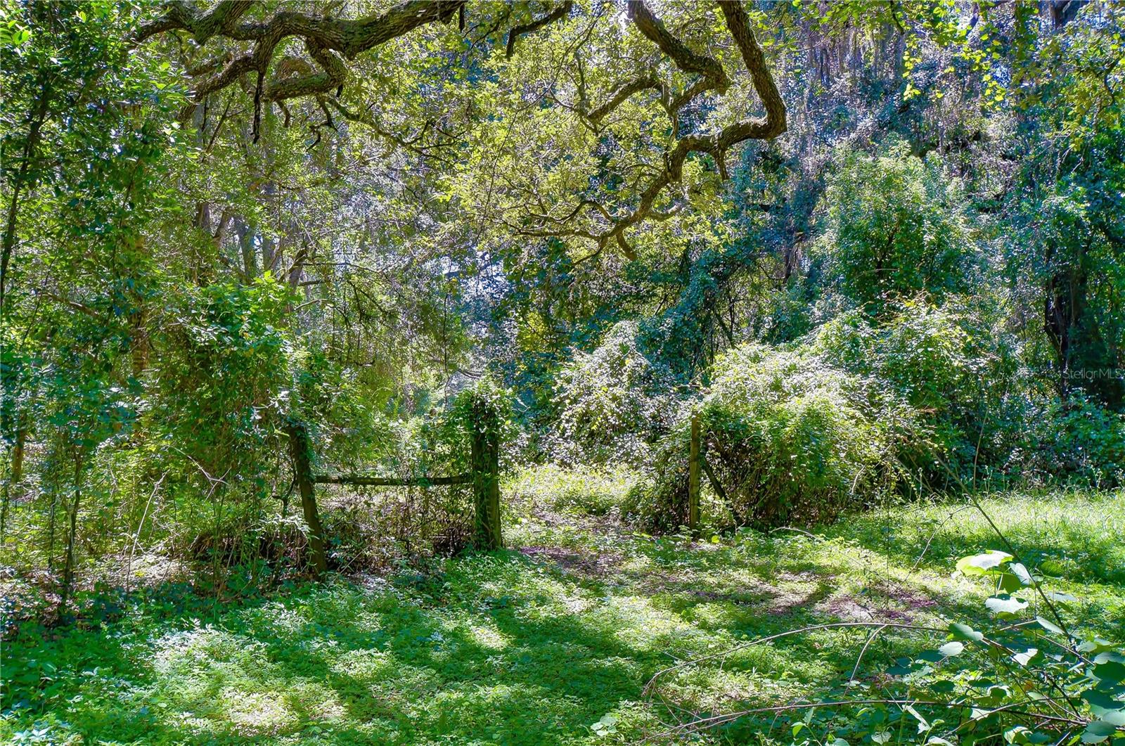 3801 Pate Rd, Zephyrhills, FL 33541