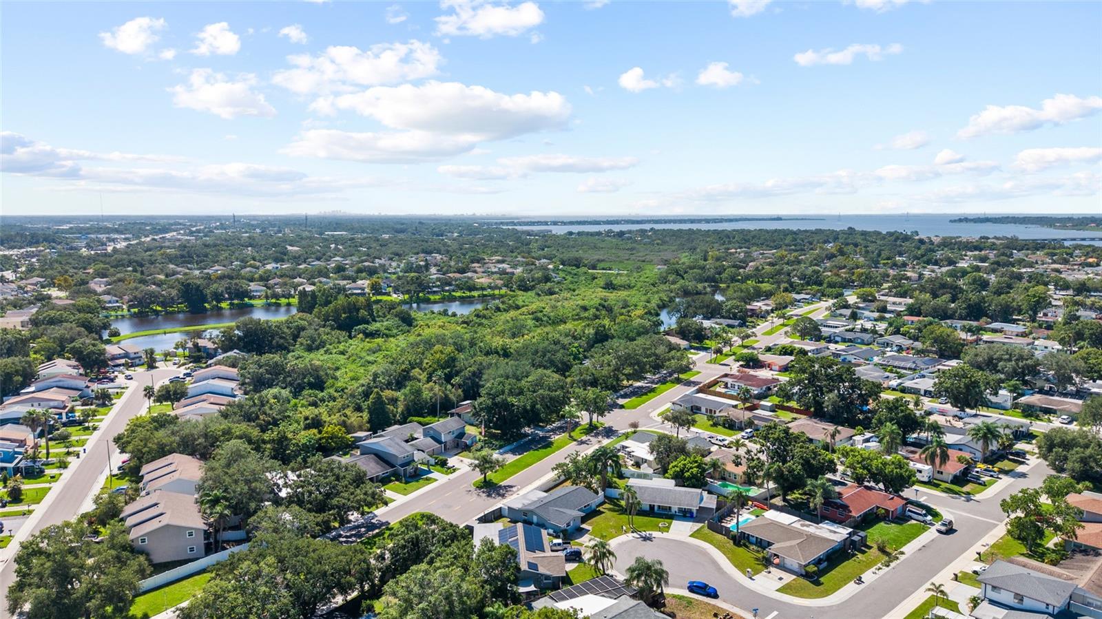 415 Maplewood Cir, Oldsmar, FL 34677
