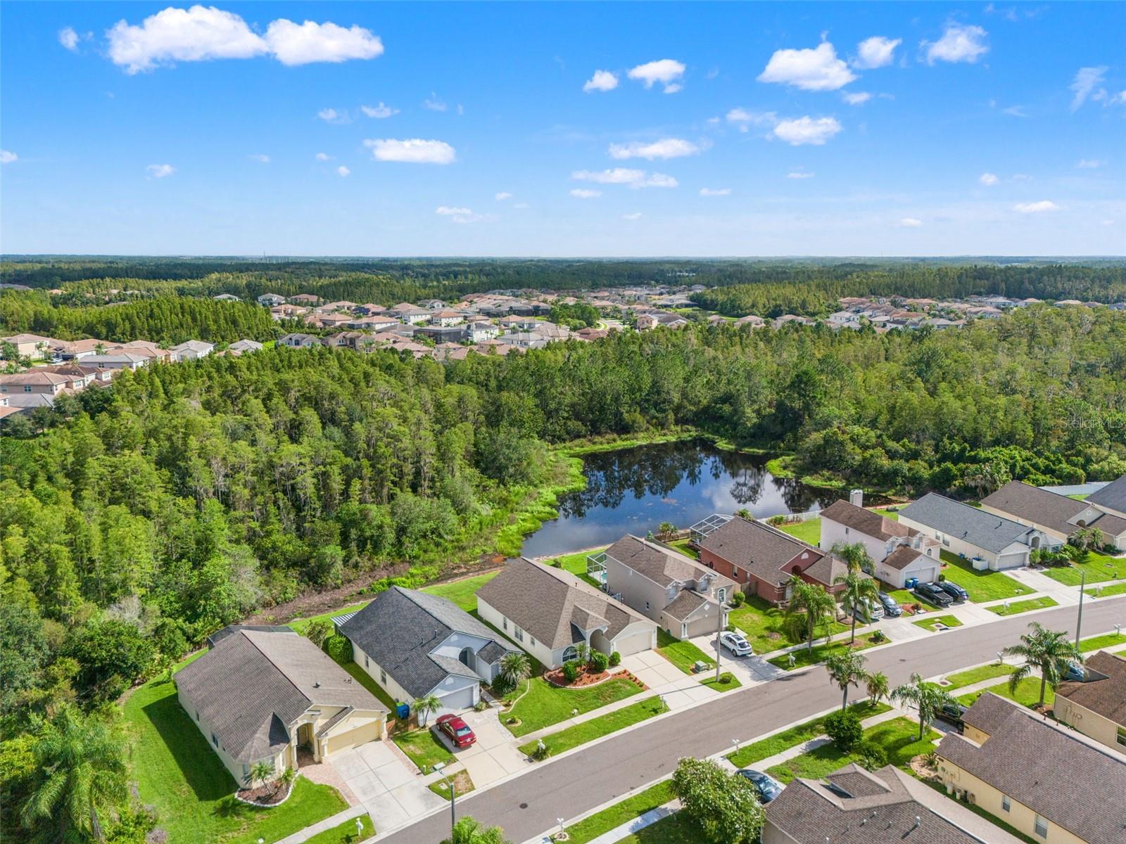 30603 Tremont Dr, Wesley Chapel, FL 33543
