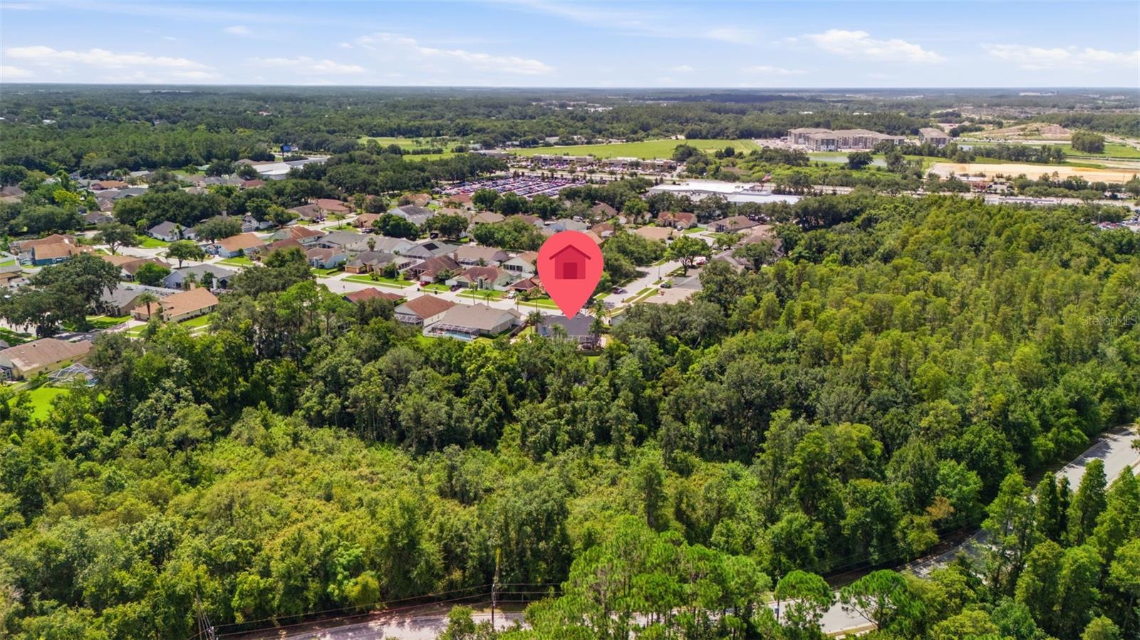 28707 Raleigh Pl, Wesley Chapel, FL 33545