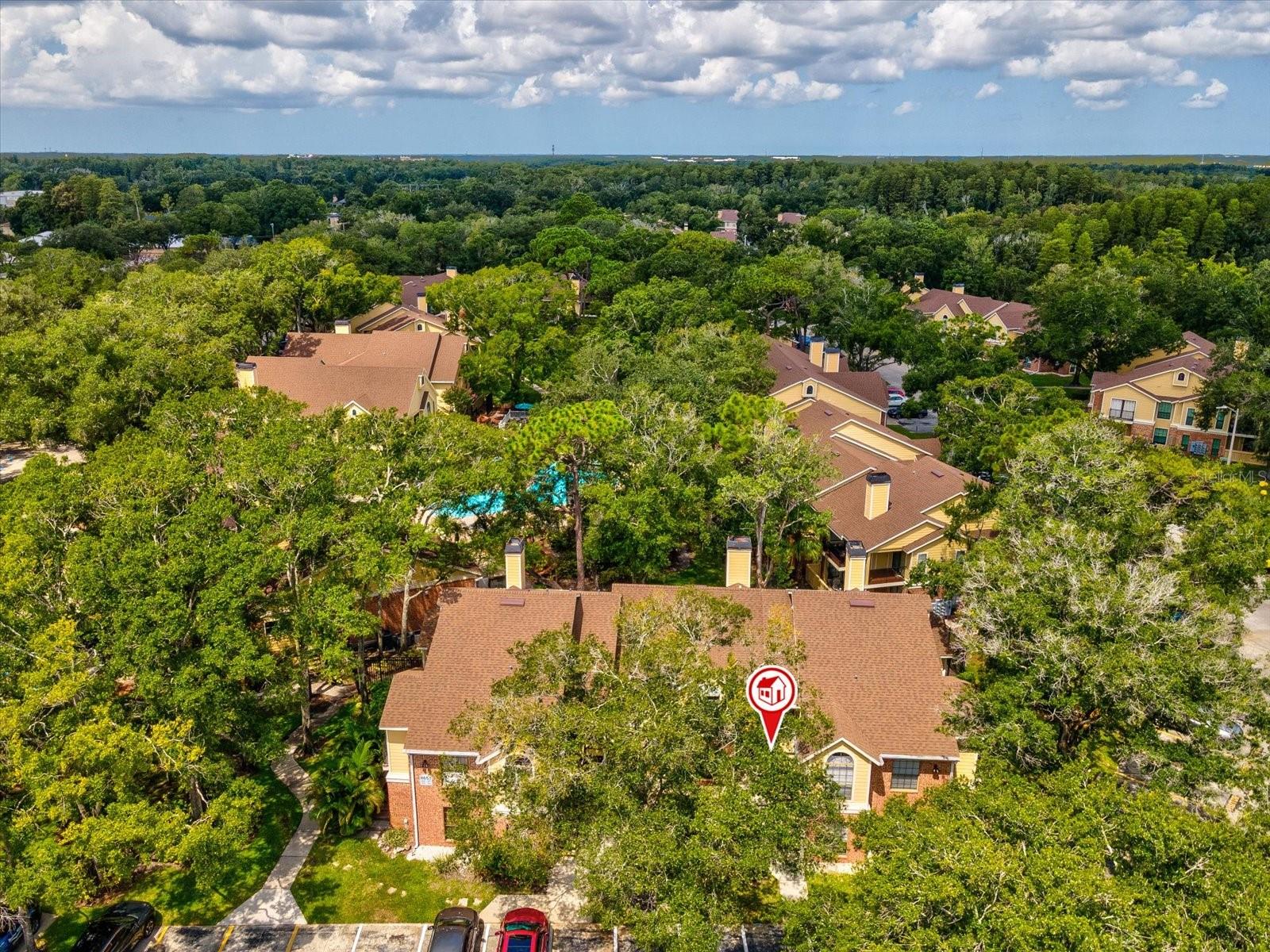 8653 Mallard Reserve Dr #103, Tampa, FL 33614