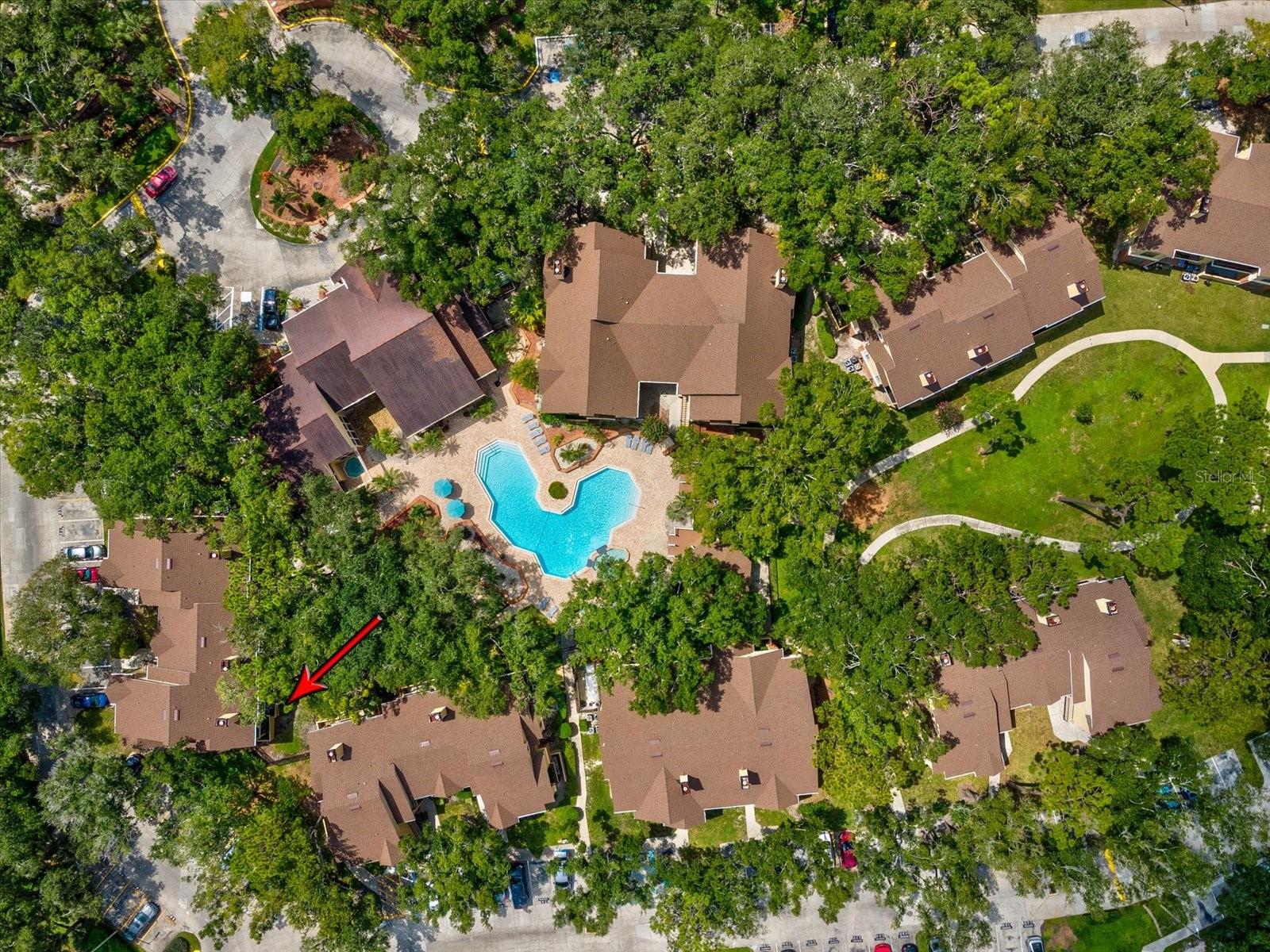 8653 Mallard Reserve Dr #103, Tampa, FL 33614