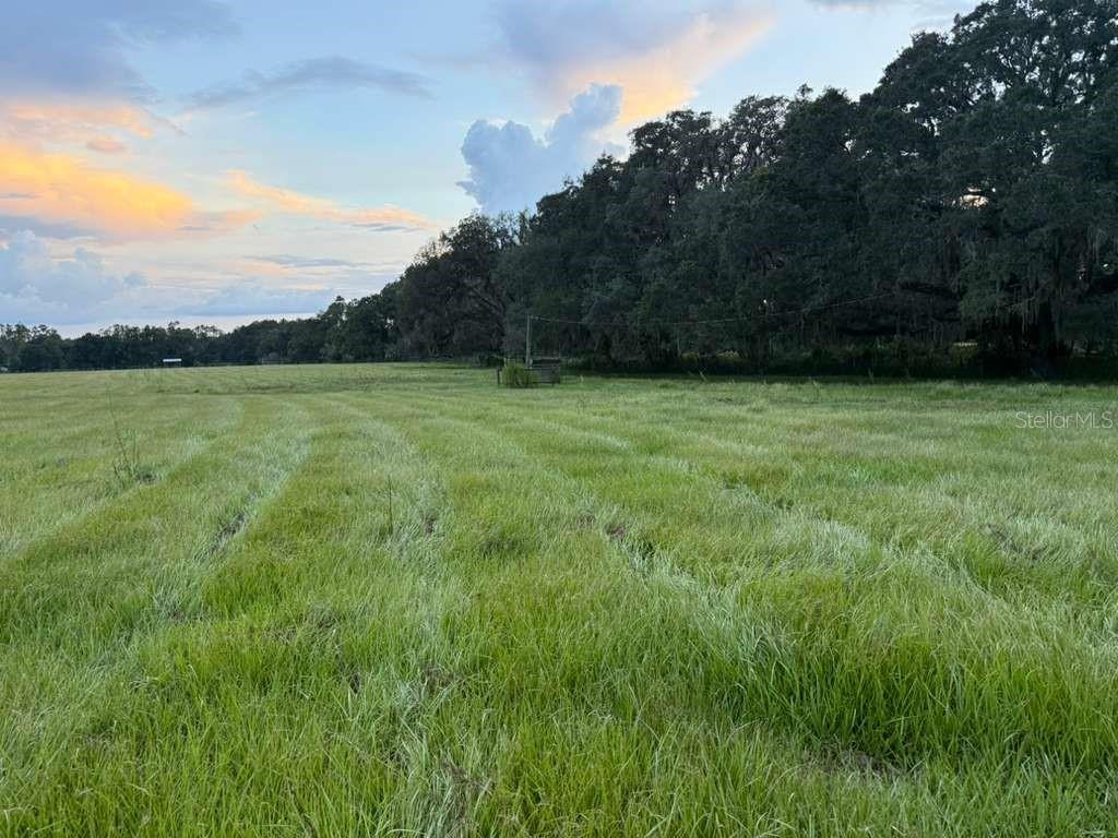 27900 Bayhead Rd, Dade City, FL 33523