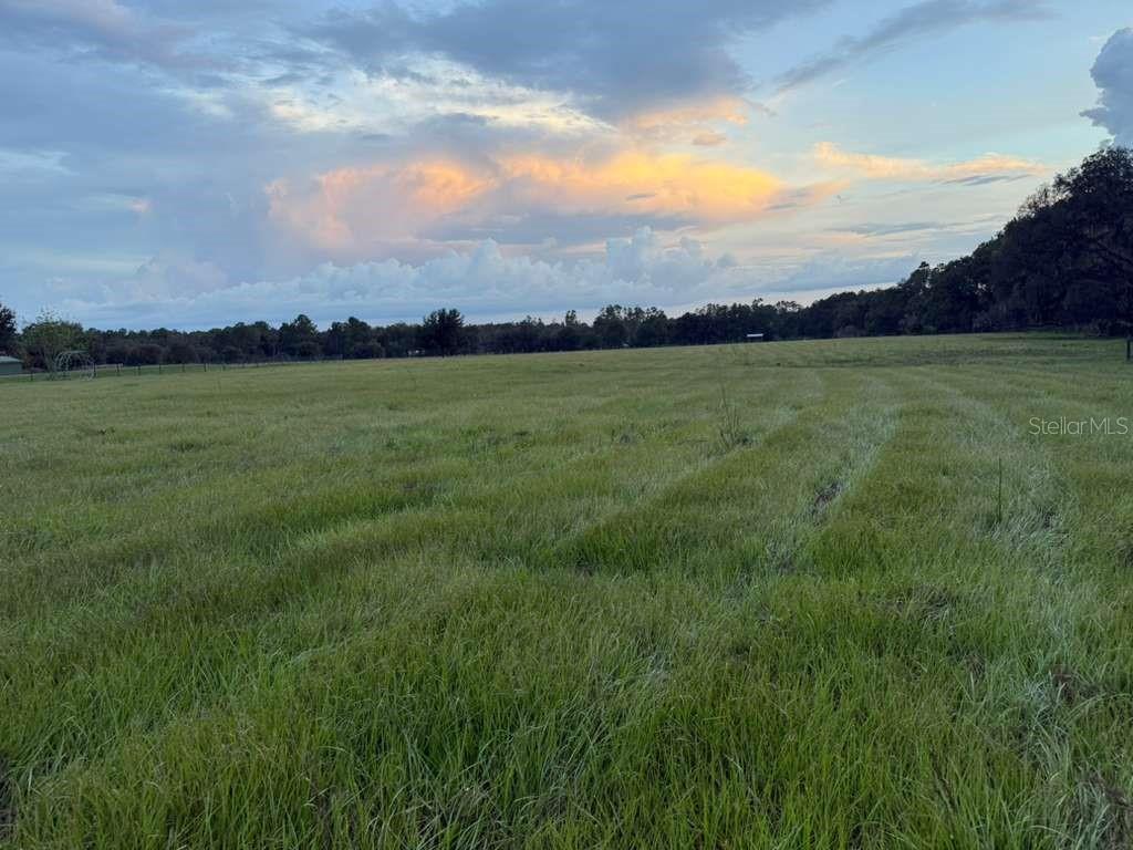27900 Bayhead Rd, Dade City, FL 33523