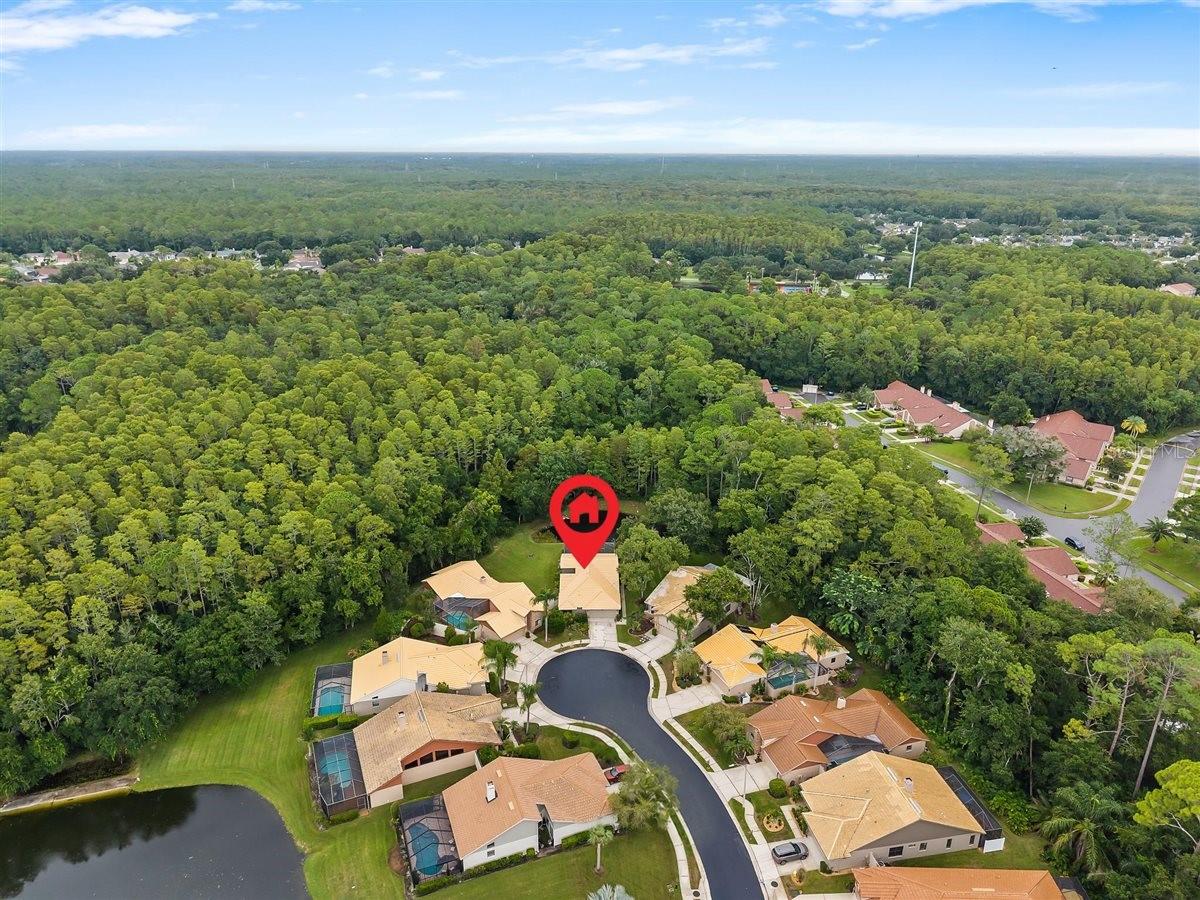3600 Darston St, Palm Harbor, FL 34685
