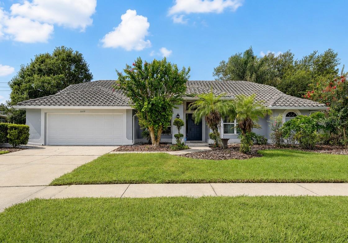 6608 Thoroughbred Loop, Odessa, FL 33556