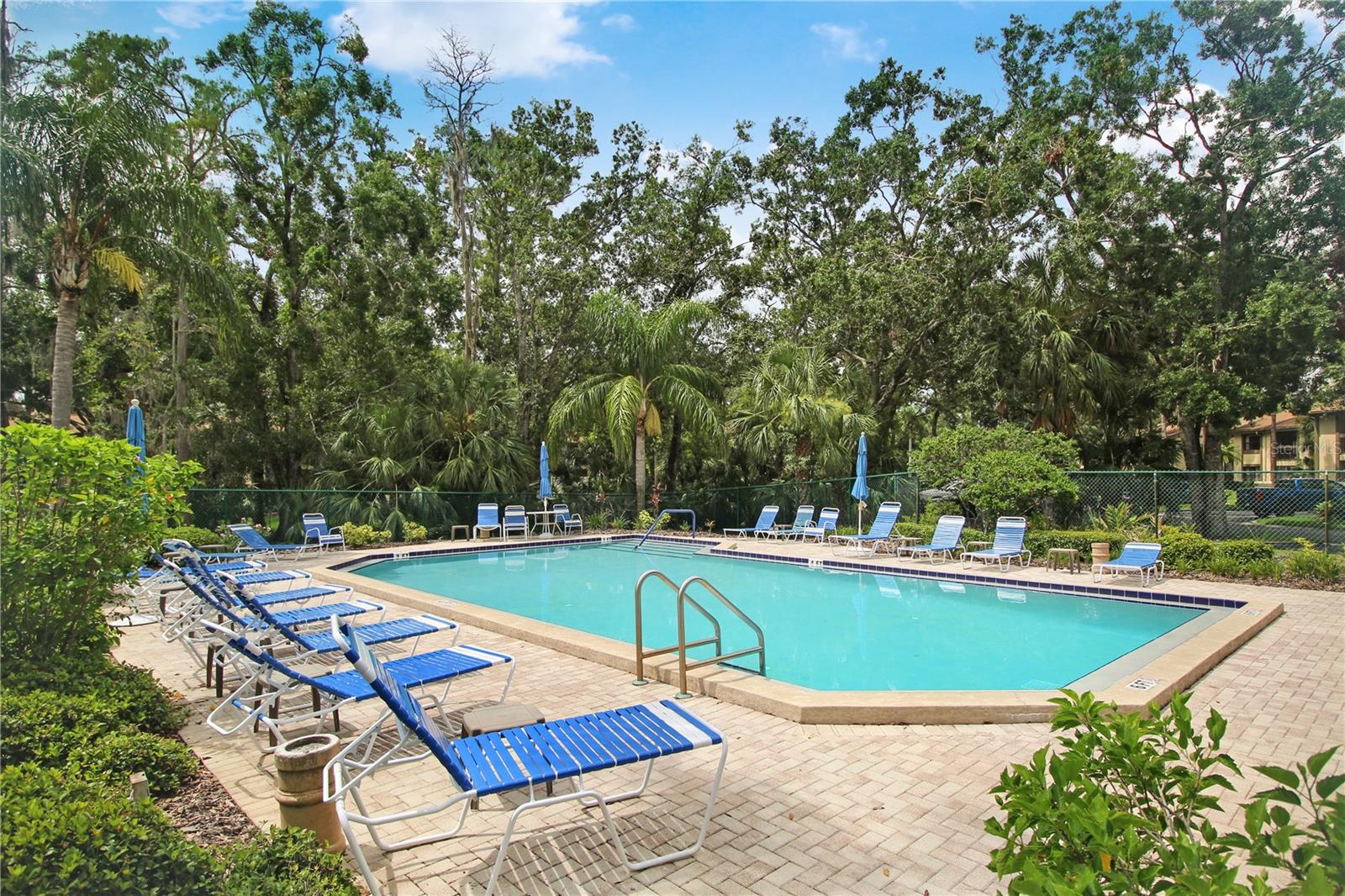 135 Woodlake Wynde #135, Oldsmar, FL 34677