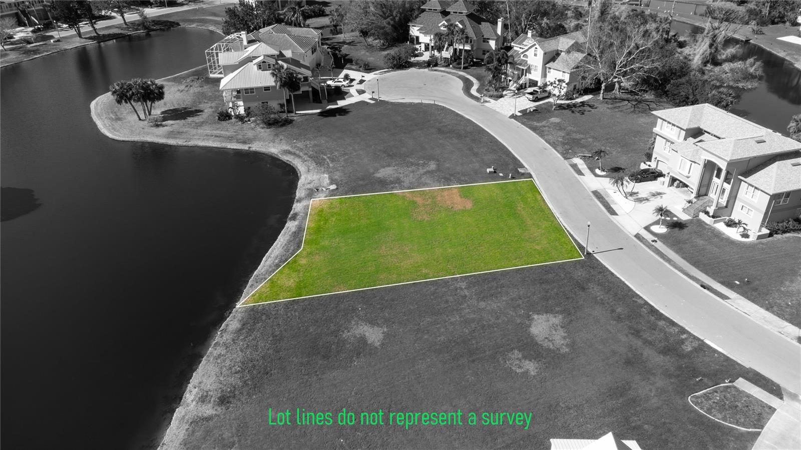 85 Sandpiper Pointe, Tarpon Springs, FL 34689