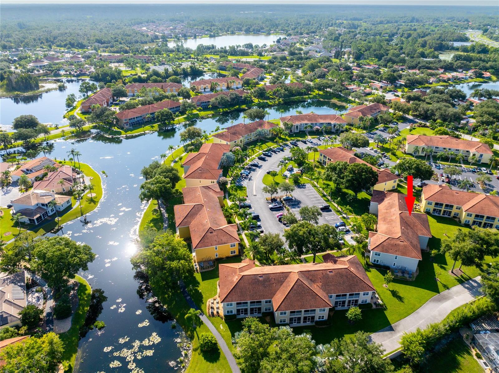 6801 Dali Ave #104, Land O Lakes, FL 34637