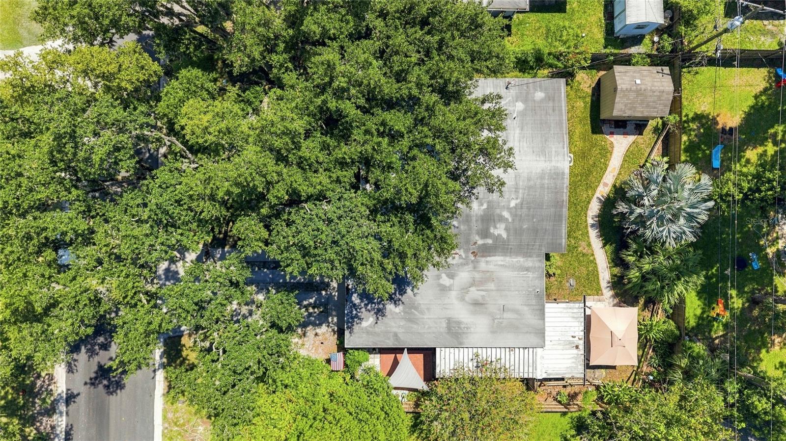 809 E River Dr, Temple Terrace, FL 33617