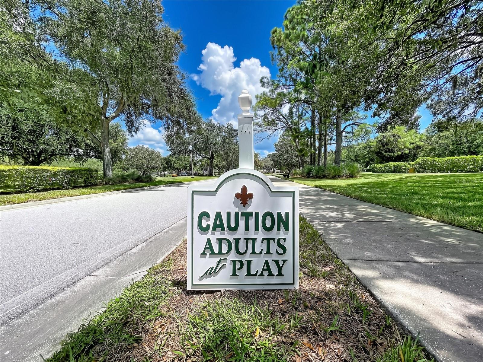 1017 Sweet Jasmine Dr, Trinity, FL 34655