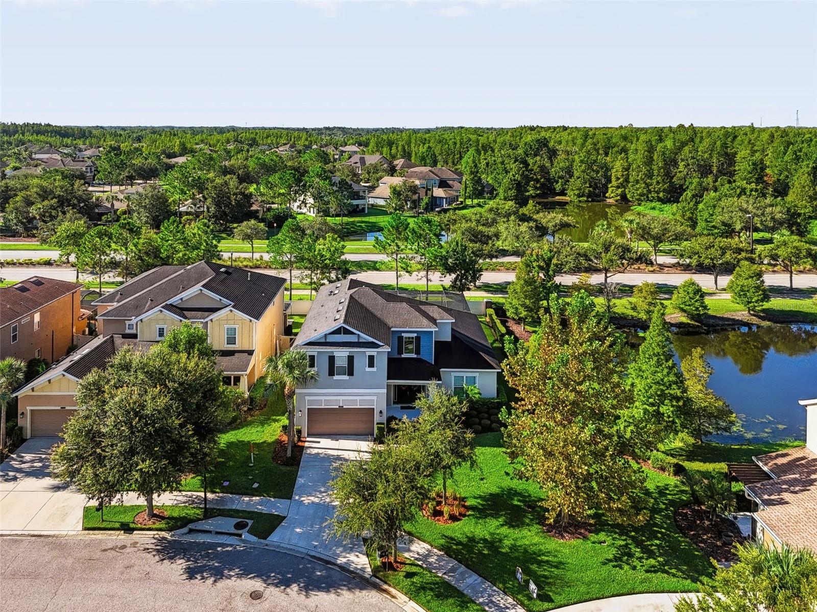 8781 Bella Vita Cir, Land O Lakes, FL 34637