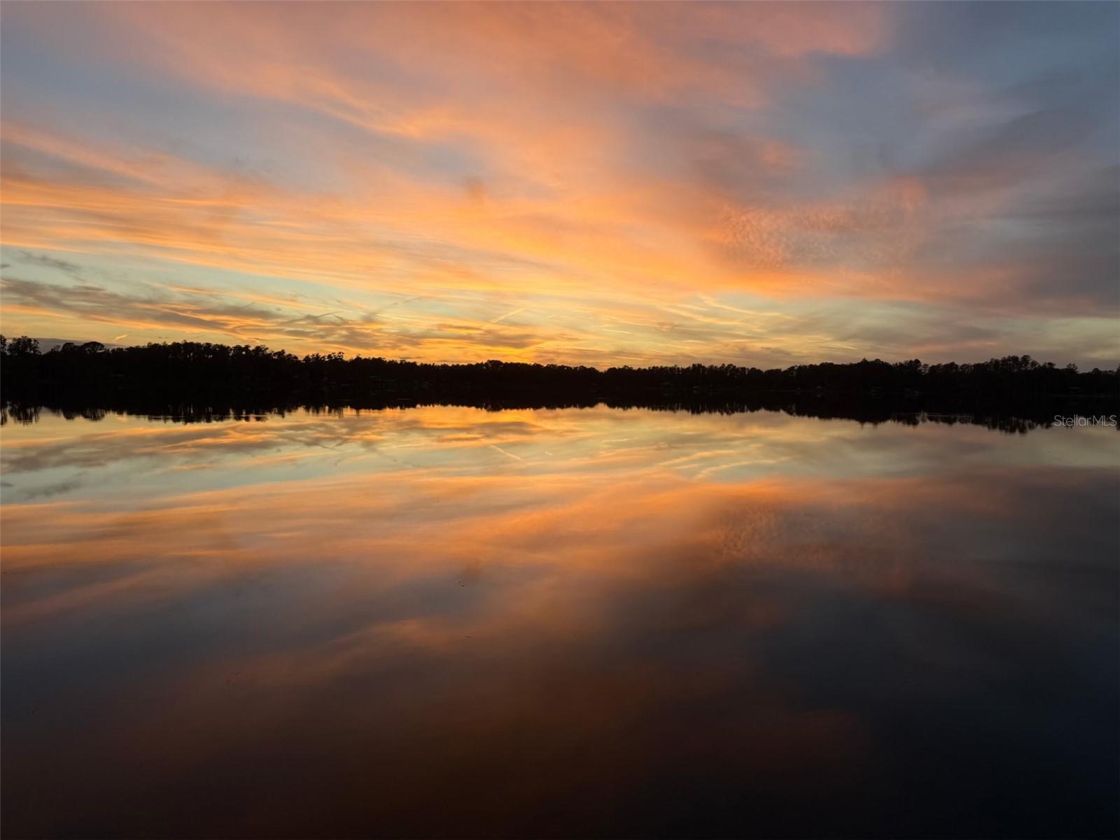 21228 Marsh Hawk Dr, Land O Lakes, FL 34638