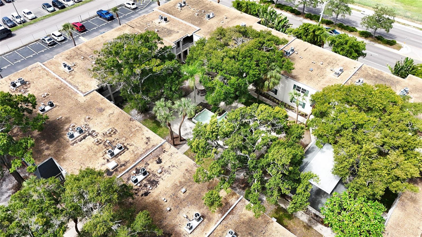 4335 Aegean Dr #116A, Tampa, FL 33611