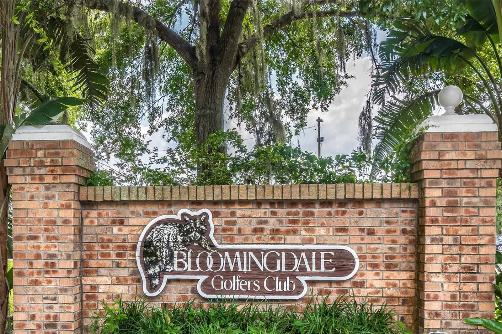 3928 Northridge Dr, Valrico, FL 33596