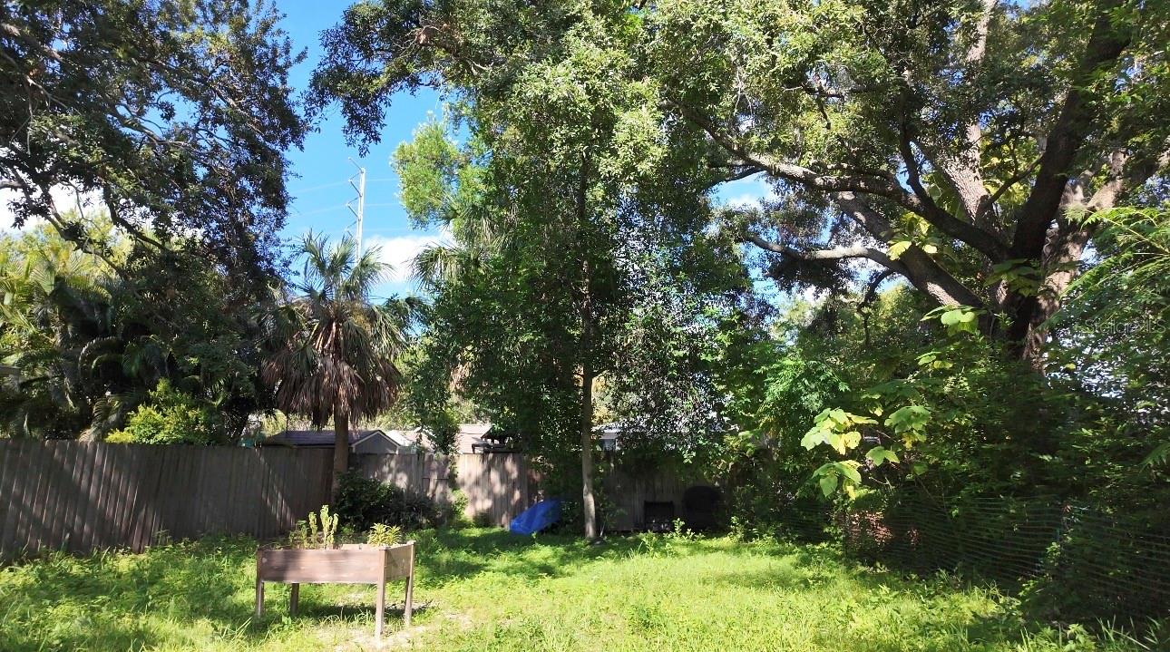 1121 Orange Ave, Dunedin, FL 34698