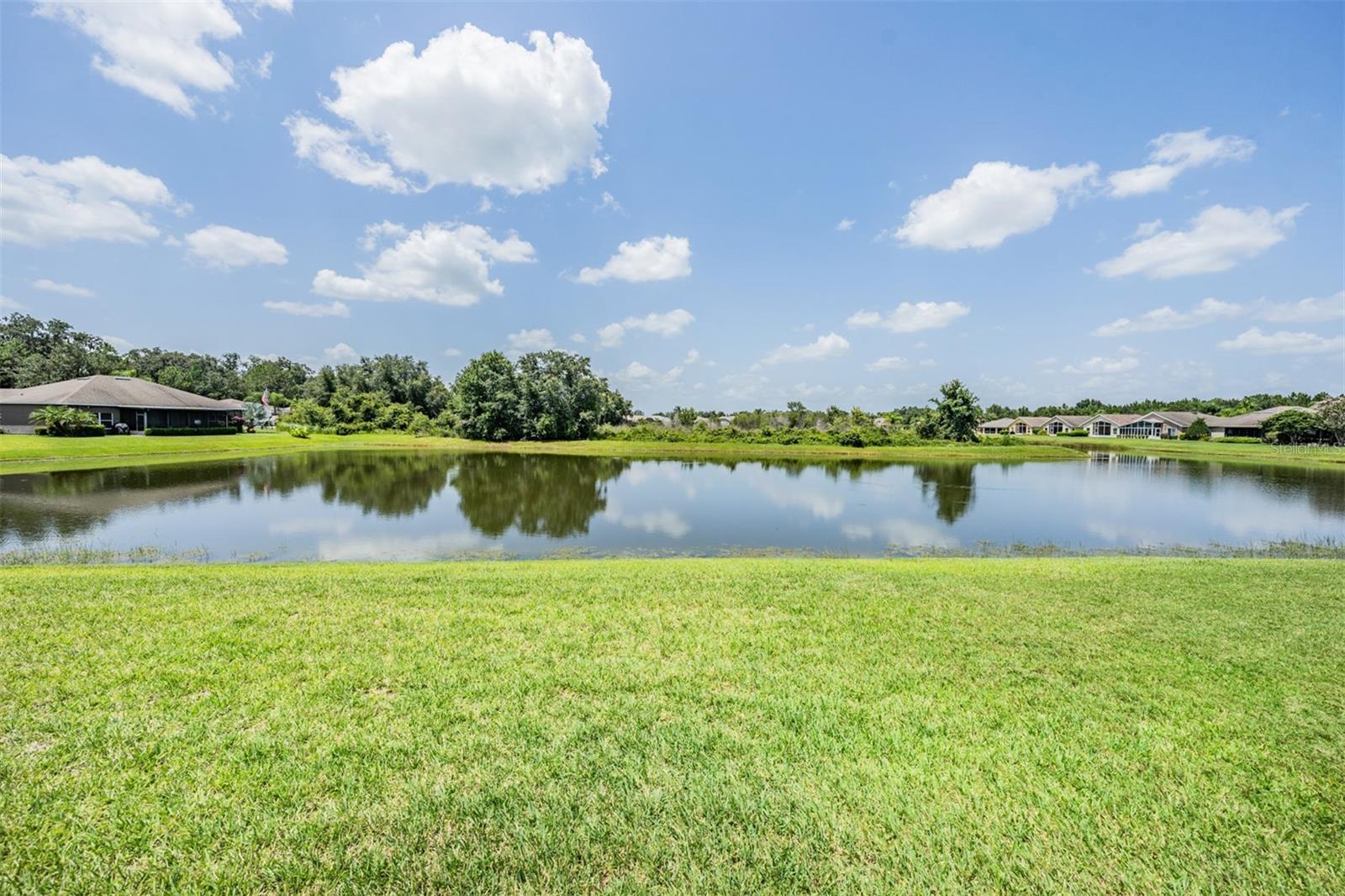 29545 Tee Shot Dr, San Antonio, FL 33576