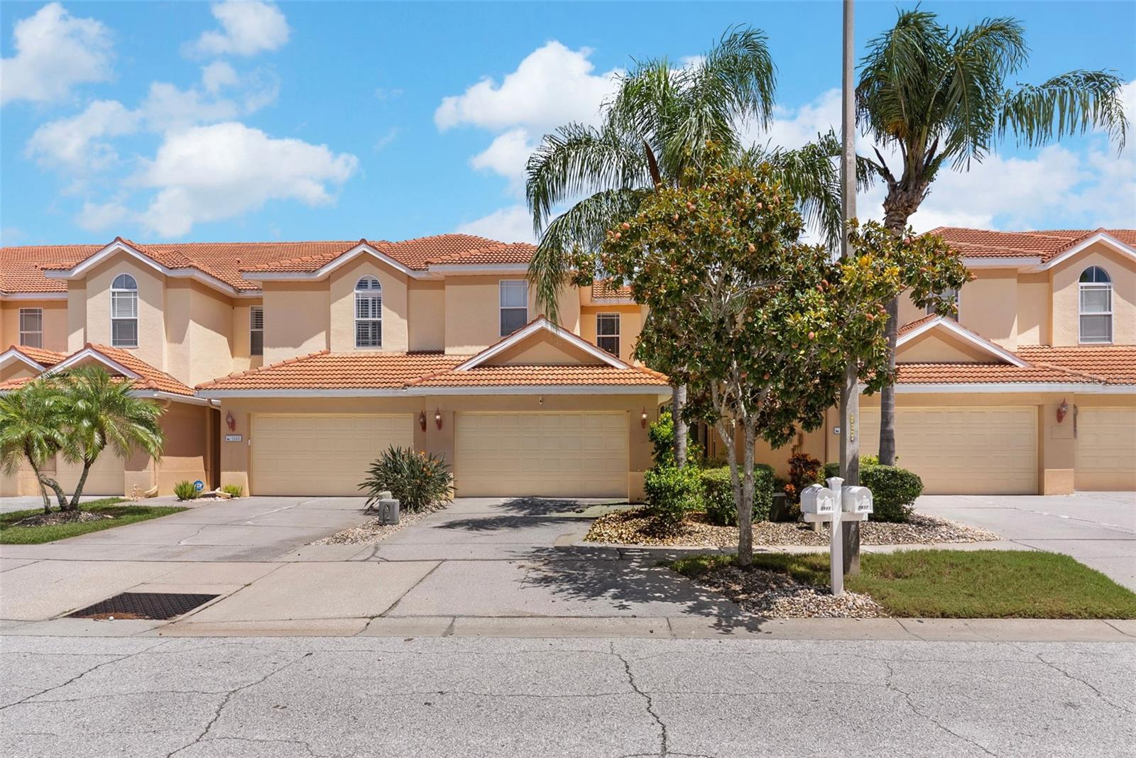 1437 Ridge Ter, Tarpon Springs, FL 34689