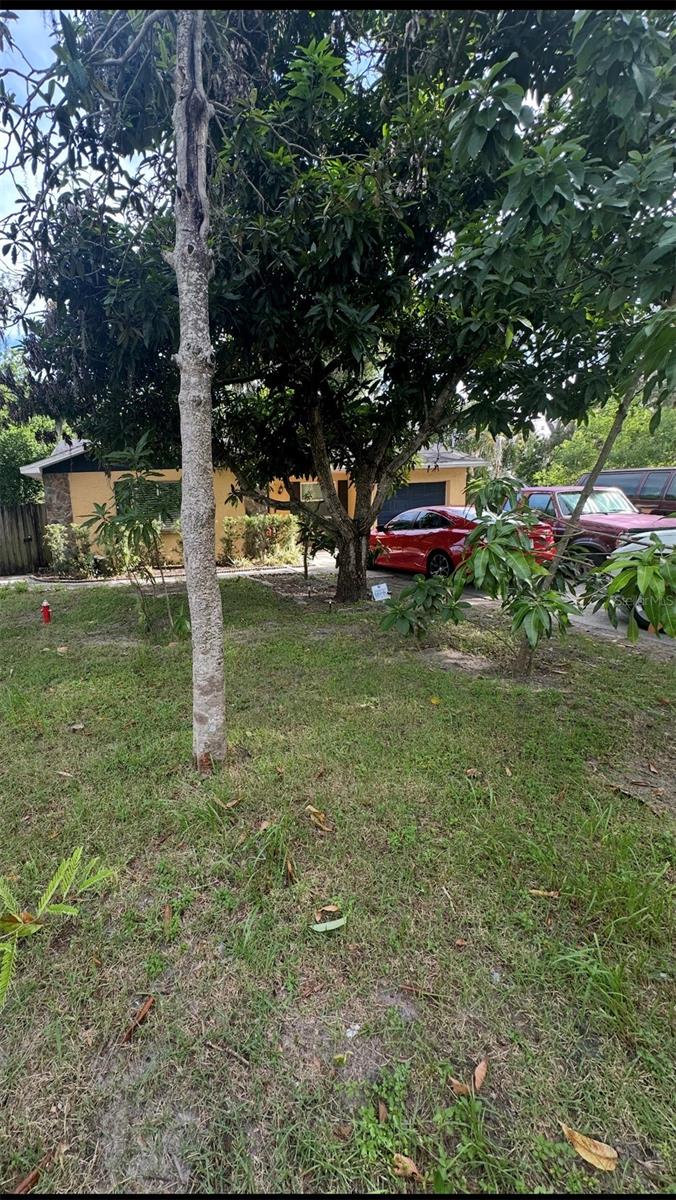 4605 E Yukon St, Tampa, FL 33617