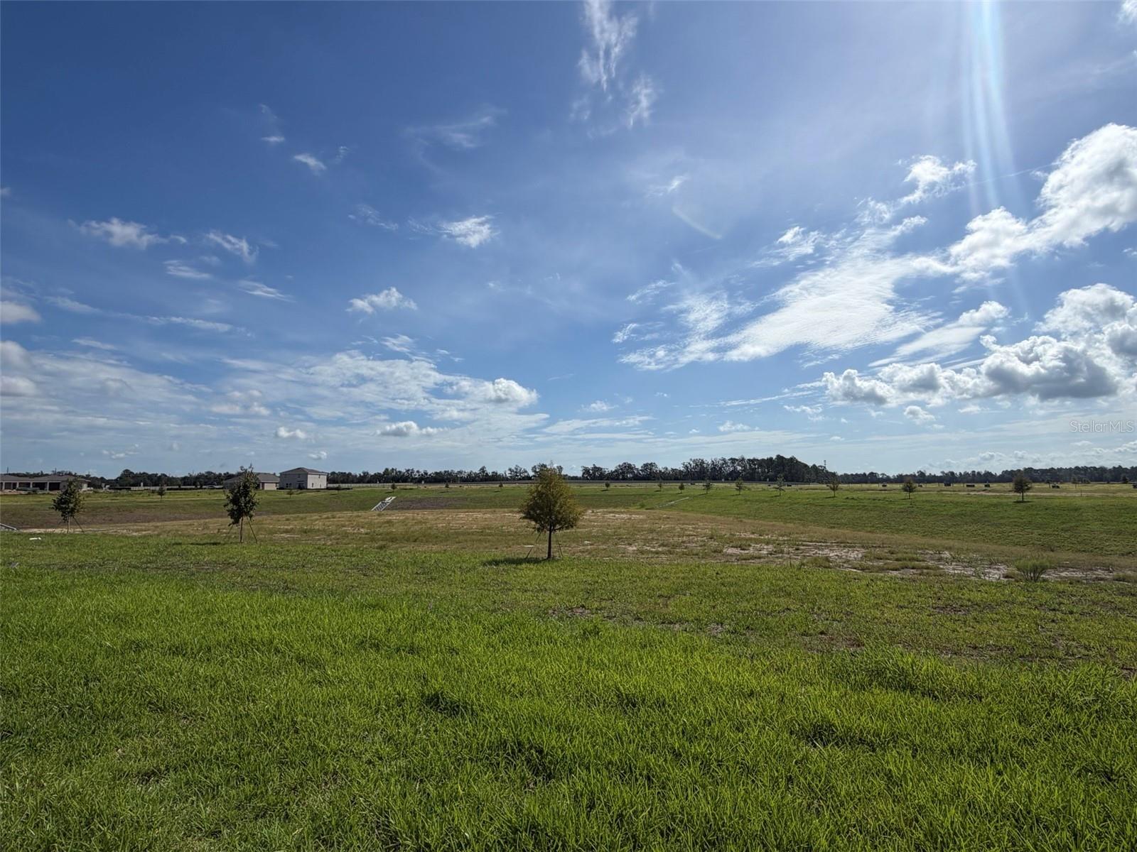 18716 Highland Dew St, Spring Hill, FL 34610