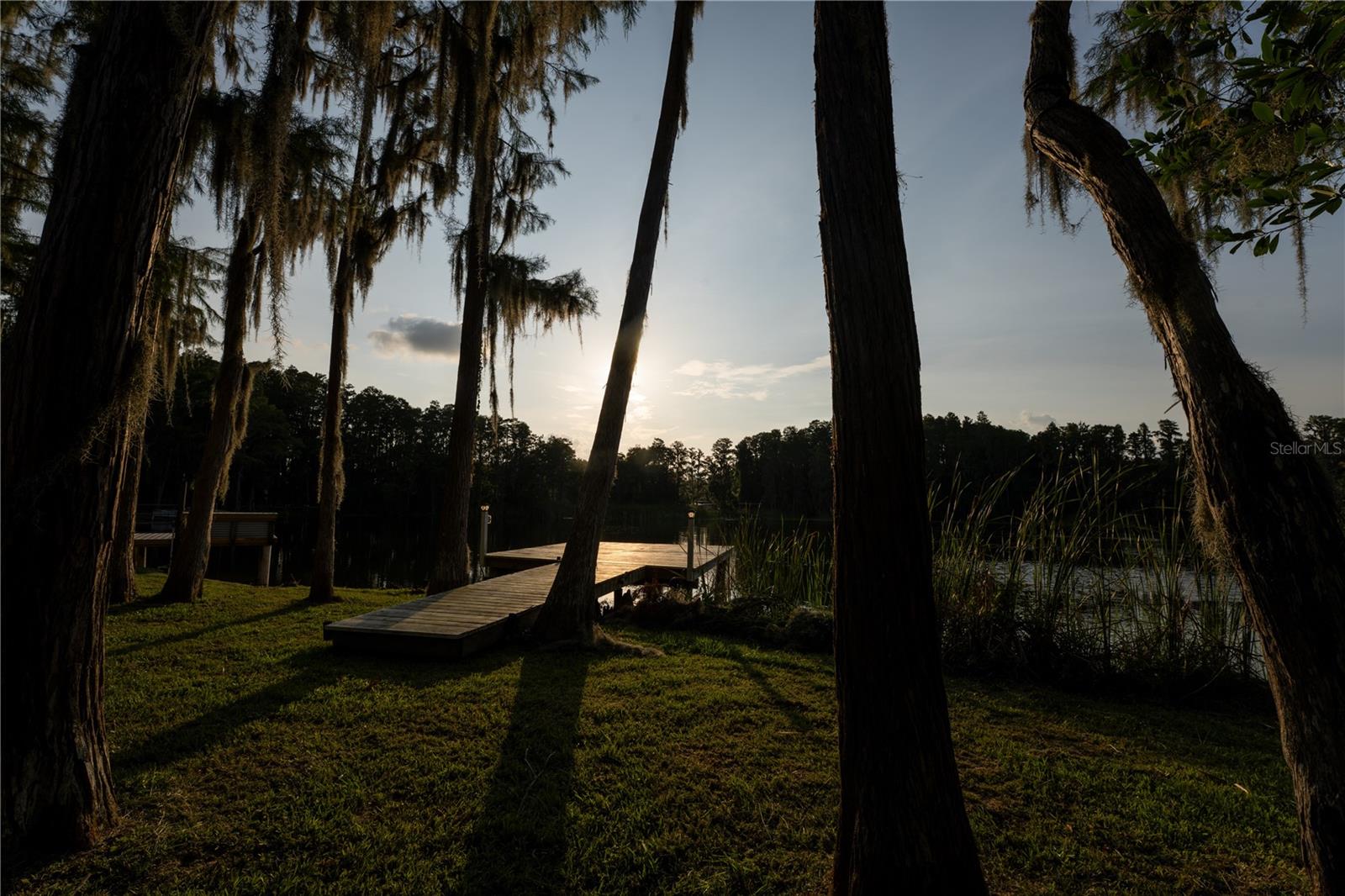 21864 Pineywood Loop, Land O Lakes, FL 34639