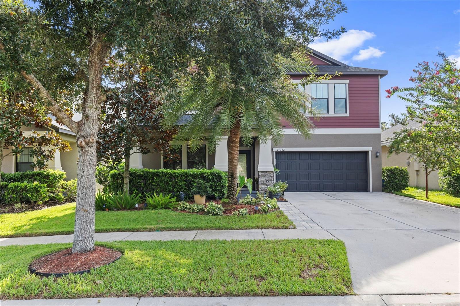 14242 Blue Dasher Dr, Riverview, FL 33569