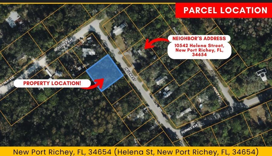 Helena St, New Port Richey, FL 34654