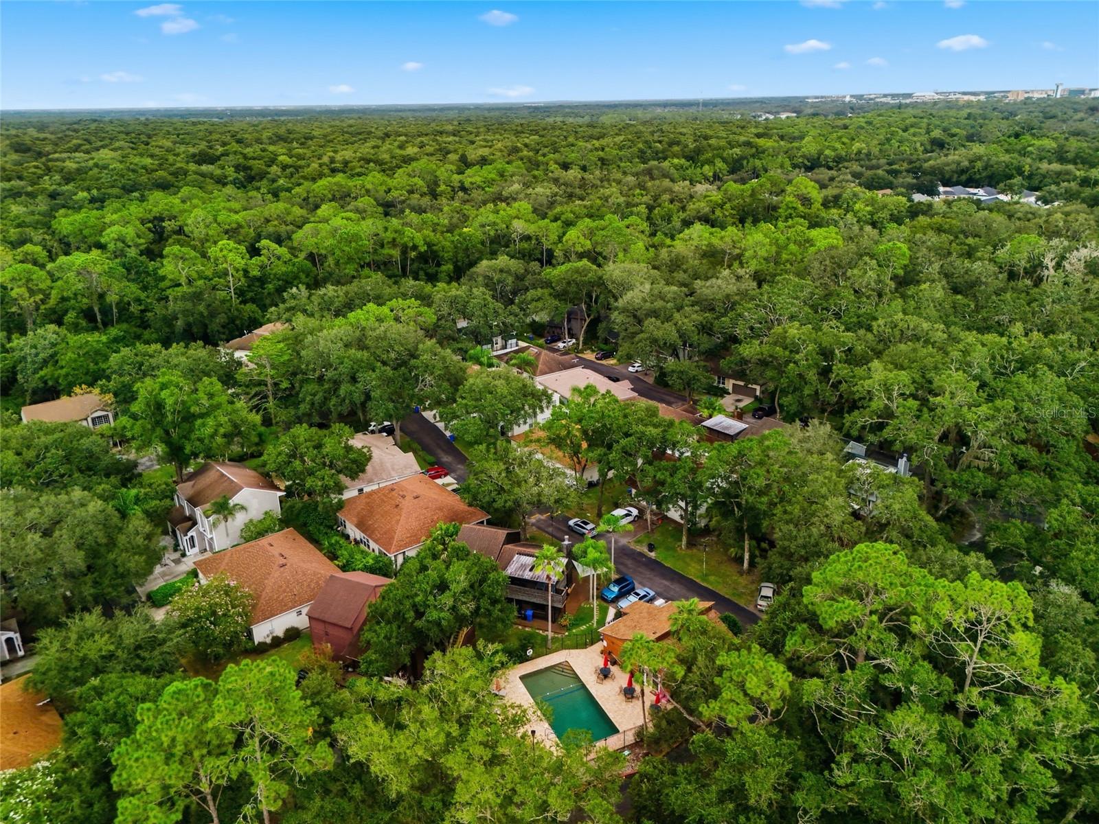 2621 Fiddlestick Cir, Lutz, FL 33559