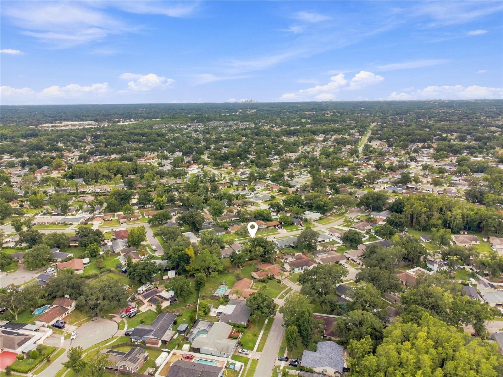 4313 Foxglen Ln, Tampa, FL 33624
