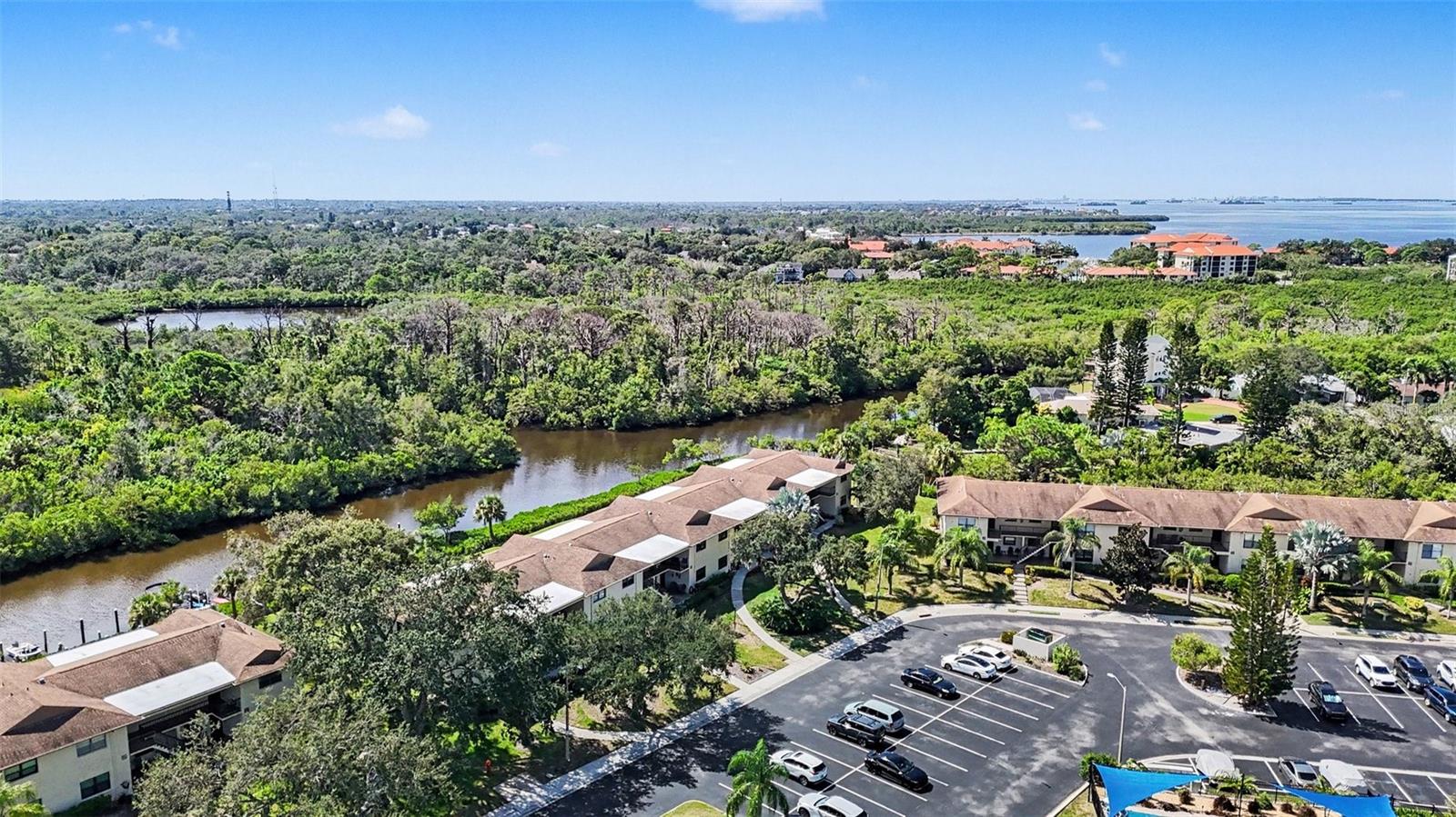 1702 Seascape Cir #203, Tarpon Springs, FL 34689