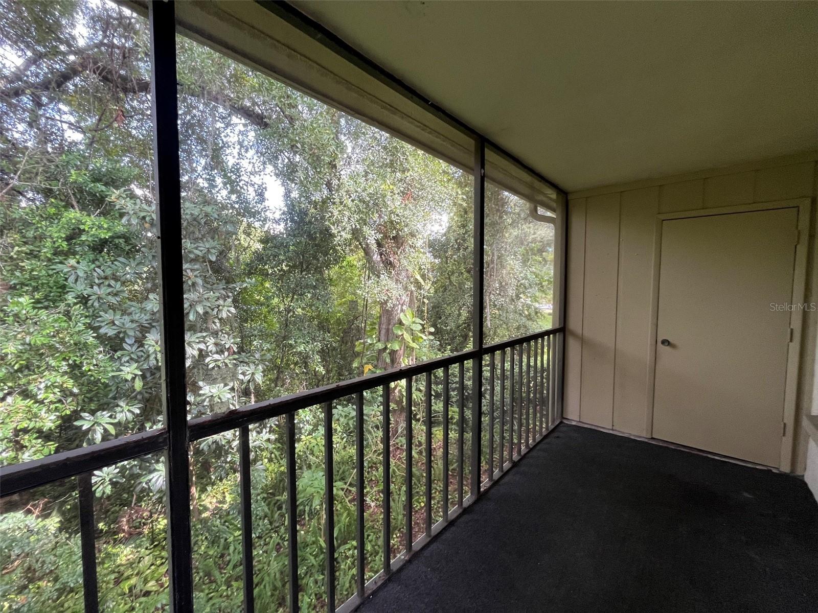 3300 Fox Chase Cir N #219, Palm Harbor, FL 34683