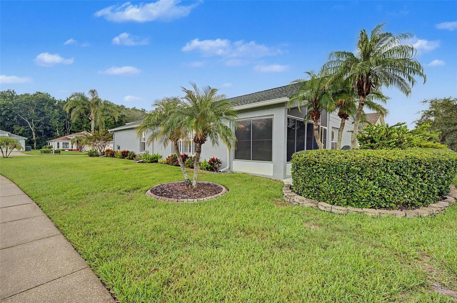 1004 Sweet Jasmine Dr, Trinity, FL 34655