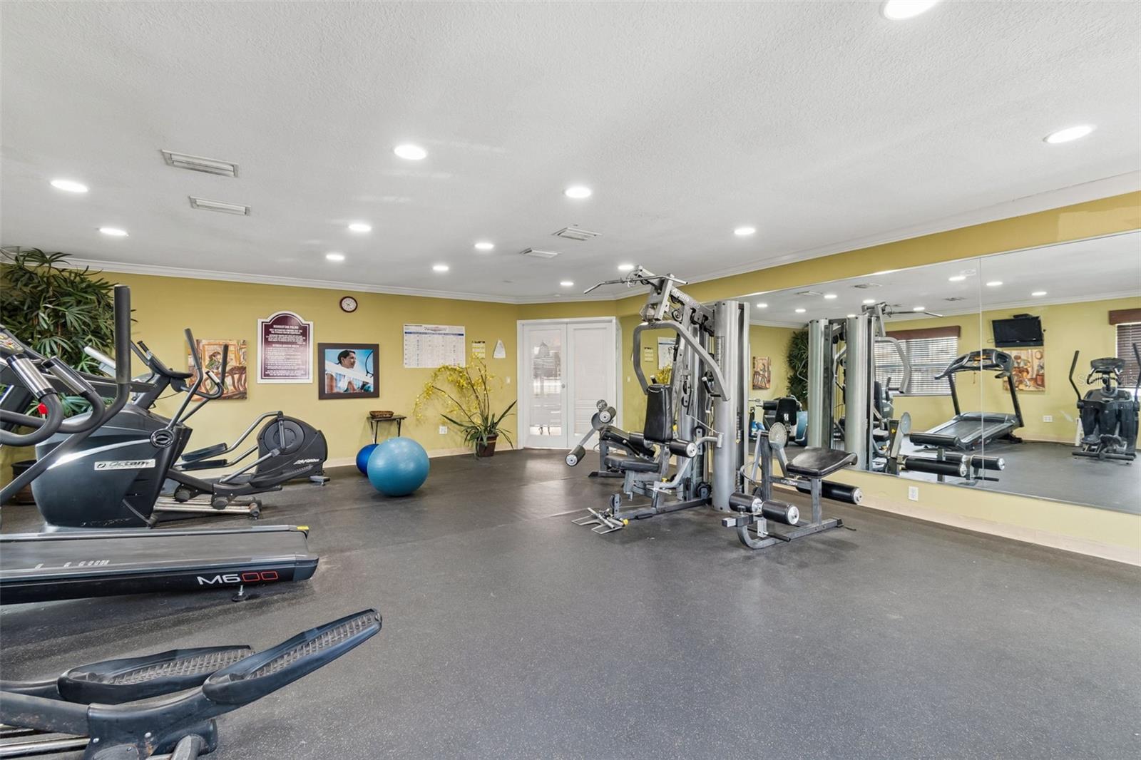 7210 N Manhattan Ave #1014, Tampa, FL 33614