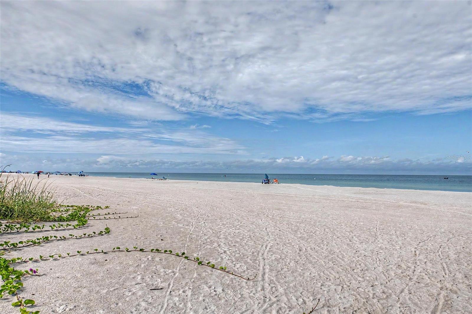 2110 Gulf Blvd #6, Indian Rocks Beach, FL 33785