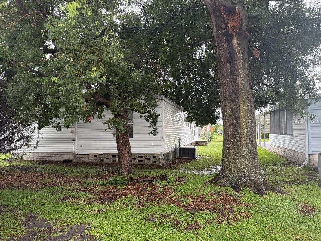 3104 Shady Creek Dr, Wesley Chapel, FL 33543