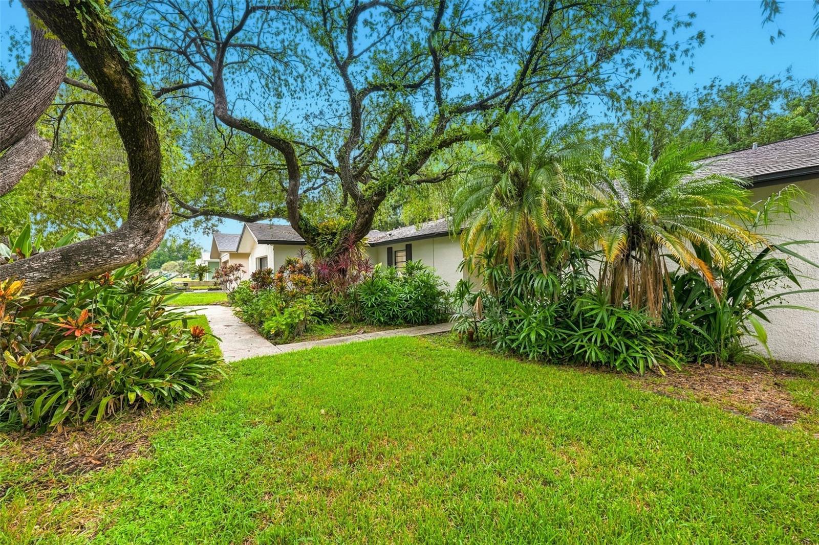 817 Ambassador Loop, Tampa, FL 33613