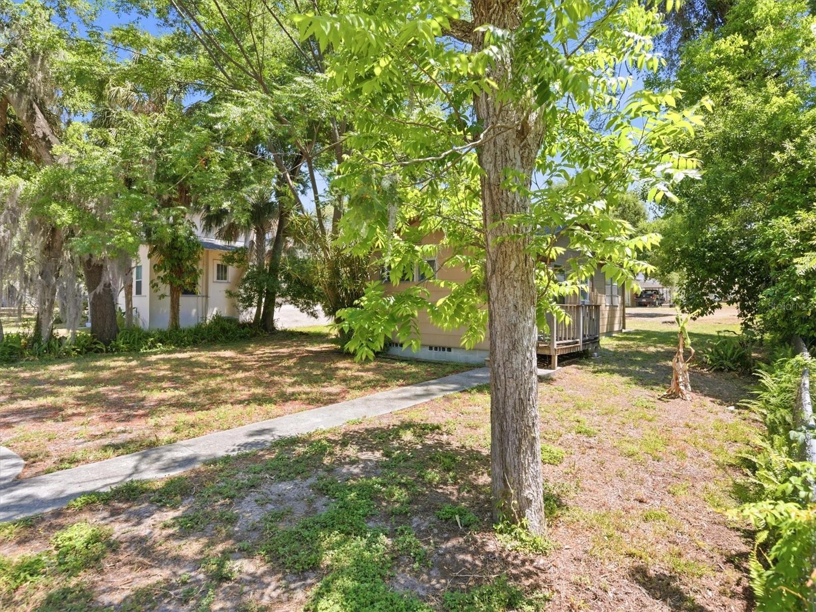 230 6th Ave N, Safety Harbor, FL 34695