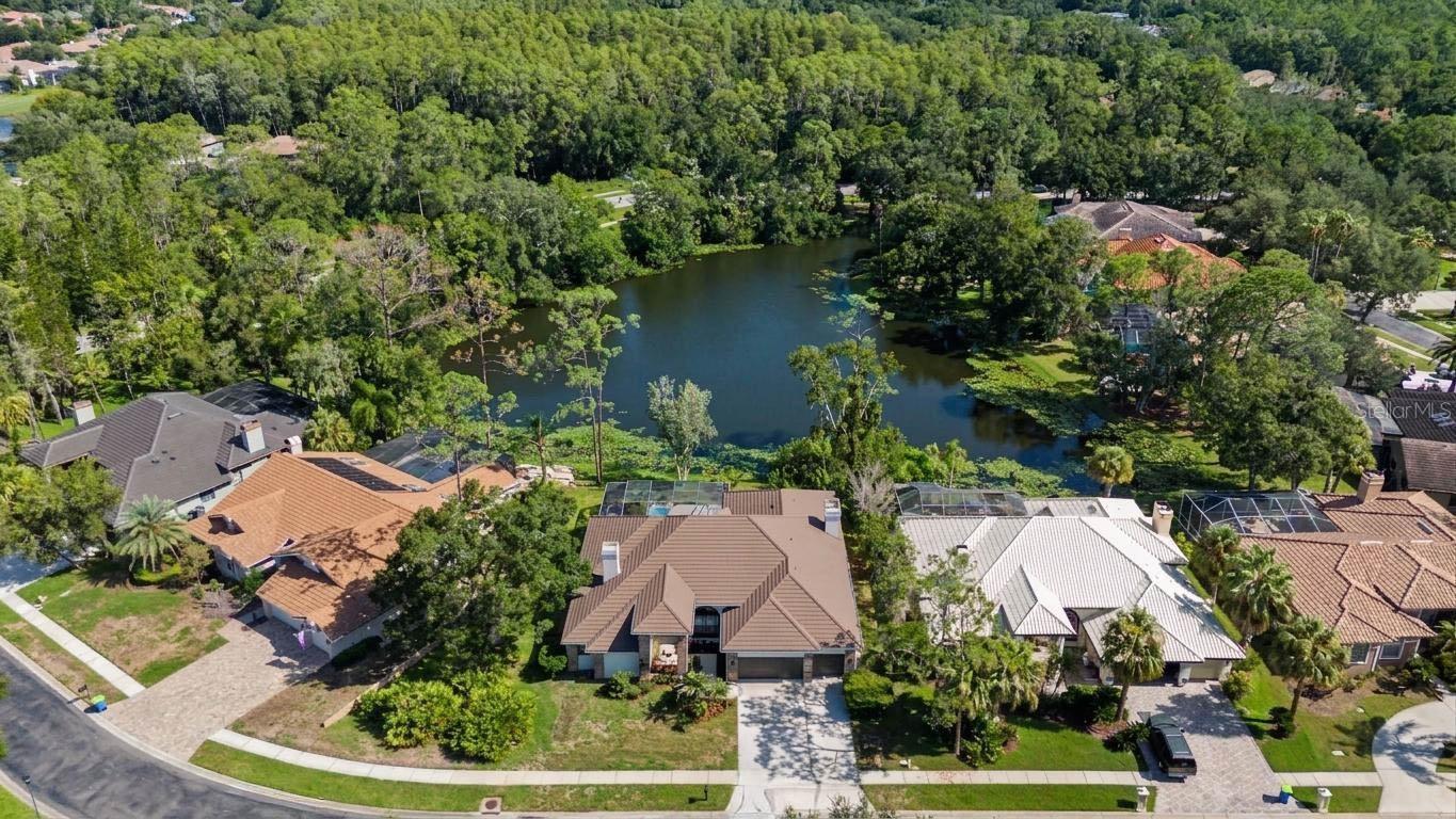 35 Greenhaven Trl, Oldsmar, FL 34677