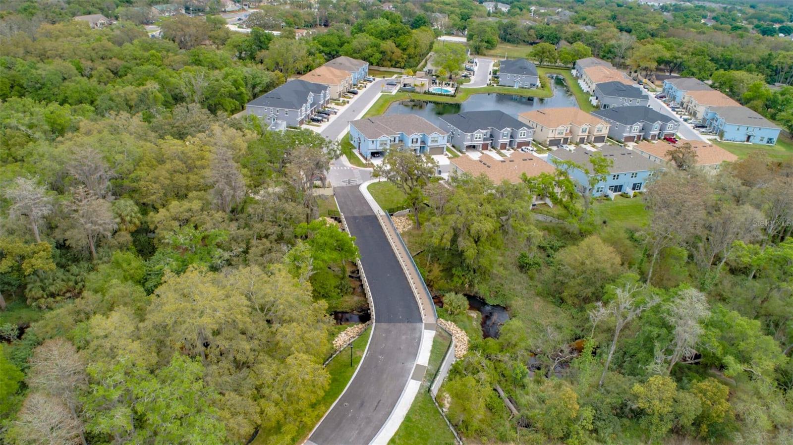 6824 Citrus Creek Ln, Tampa, FL 33625