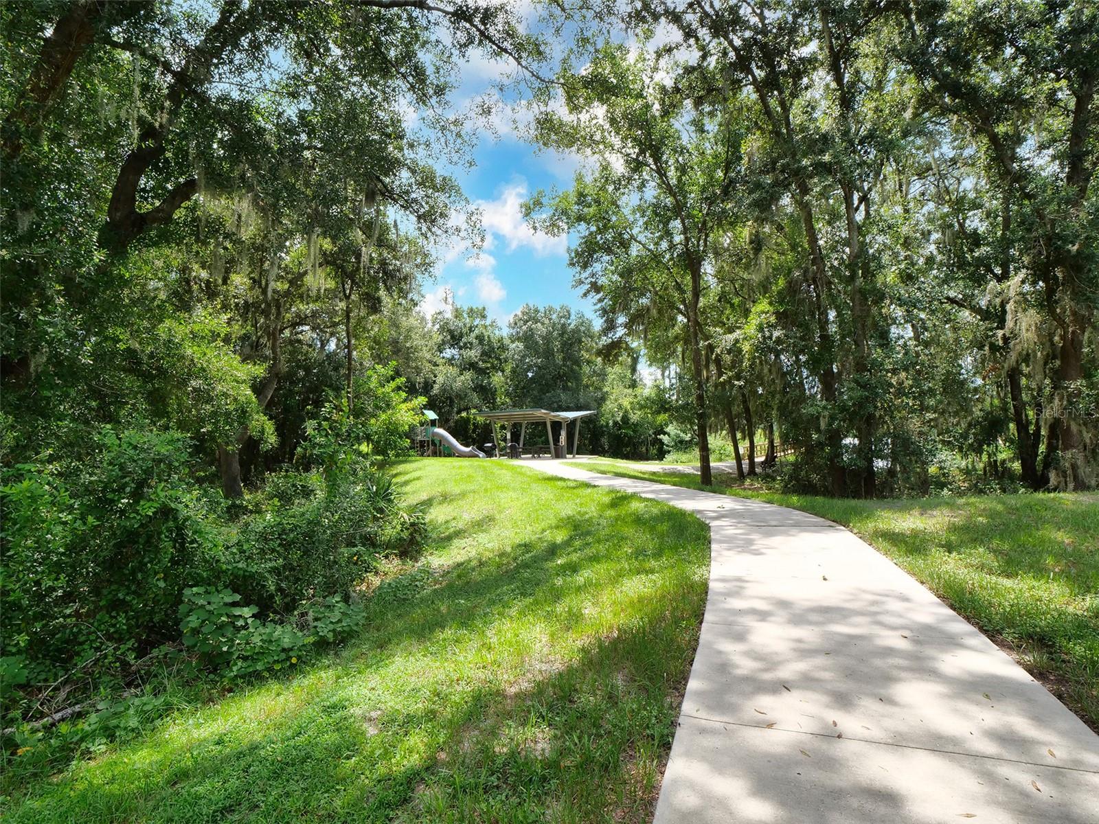 14309 Pondhawk Ln, Tampa, FL 33625