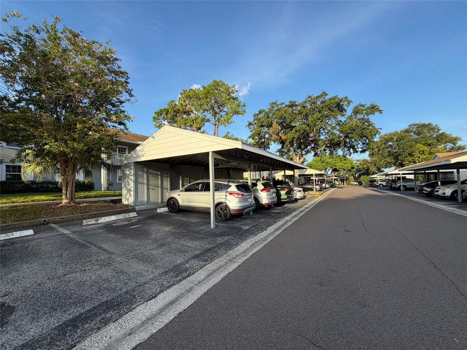 1465 Millstream Ln #104, Dunedin, FL 34698